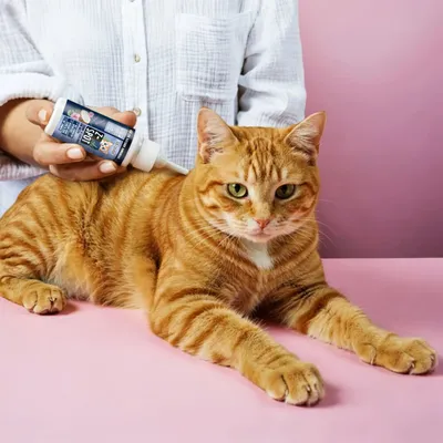 Tierliebhaber Z-Spot für Katzen Tierliebhaber Z-Spot für Katzen