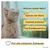 PiuPet® Katzennetz I Drahtverstärkt I Befestigungsset inkl. PiuPet® Katzennetz I Drahtverstärkt I Befestigungsset inkl.