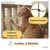 PiuPet® Katzennetz I Drahtverstärkt I Befestigungsset inkl. PiuPet® Katzennetz I Drahtverstärkt I Befestigungsset inkl.
