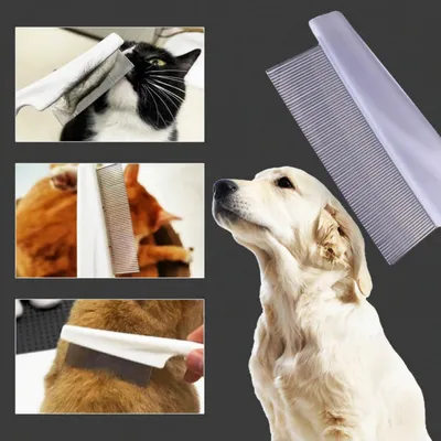 Pawffee Peine antipulgas perros gatos, elimina lágrimas garrapatas, blanco