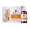RECOACTIV® Nieren Tonicum 3x90ml