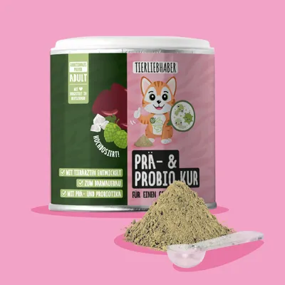 Tierliebhaber Prä & Probio Kur für Katzen Tierliebhaber Prä & Probio Kur für Katzen