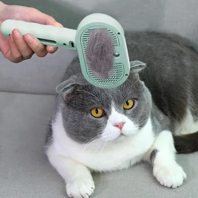 Wafuesh - Brosse Vapeur - Auto-nettoyante Chien Chat Wafuesh - Brosse Vapeur - Auto-nettoyante Chien Chat