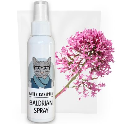 KATER KASIMIR Spray pour chats