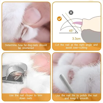 ELLE - Coupe-ongles inox - Précis chiens/chats avec lime