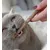 Kater Kasimir Matatabi Sticks, Katzenminze Sticks