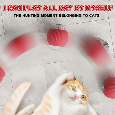 Pawffee Pelota interactiva automática gatos, rodante, juego estimulación
