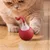 EagerMinds - Balle interactive - Jouet chat automatique EagerMinds - Balle interactive - Jouet chat automatique