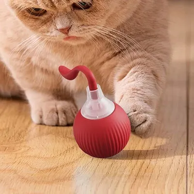 EagerMinds - Balle interactive - Jouet chat automatique EagerMinds - Balle interactive - Jouet chat automatique