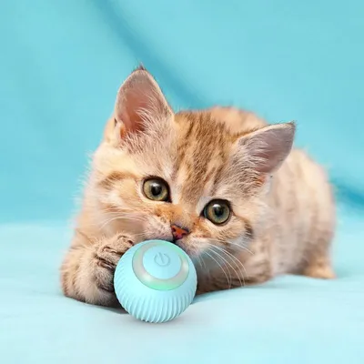 Katzenspielzeug, Katzenball LED-Lichtern, interaktives Katzenspielzeug drin Katzenspielzeug, Katzenball LED-Lichtern, interaktives Katzenspielzeug drin