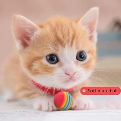 Chiwava - Balle Mousse - Lot 12 balles mousse chat Chiwava - Balle Mousse - Lot 12 balles mousse chat