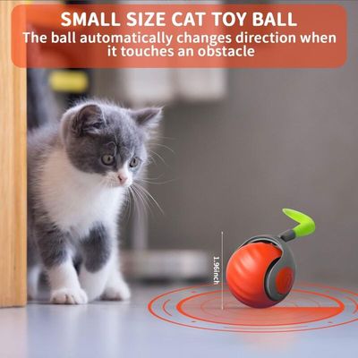 Balle chat interactive automatique 360° rechargeable USB