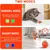Balle chat interactive automatique 360° rechargeable USB Balle chat interactive automatique 360° rechargeable USB