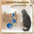 Balle interactive chat 5 cm queue peluche jouet intérieur Balle interactive chat 5 cm queue peluche jouet intérieur