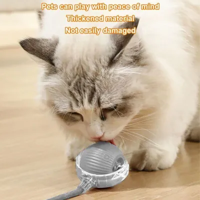 Balle chat interactive rechargeable – jouet électrique automatique Balle chat interactive rechargeable – jouet électrique automatique