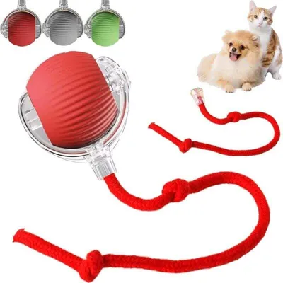 Automatisches Katzenspielzeug – lustiger interaktiver Ball für Bewegung Automatisches Katzenspielzeug – lustiger interaktiver Ball für Bewegung