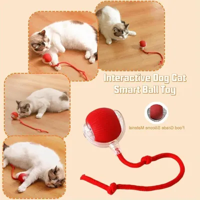 ZHIKE - Balle interactive - Jouet chat automatique ZHIKE - Balle interactive - Jouet chat automatique