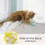 TIESOME - Jouet Chat - Balles cloche interactives (lot 3) TIESOME - Jouet Chat - Balles cloche interactives (lot 3)