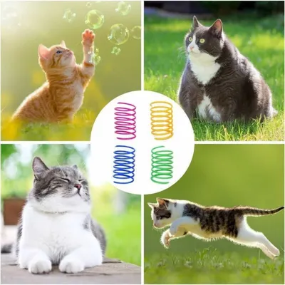 Buntes Federspielzeug Katzen, 20er-Set, interaktives Kunststoffspielzeug Buntes Federspielzeug Katzen, 20er-Set, interaktives Kunststoffspielzeug