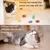 ZULBCEO - Jouet Ressort Chat - Lot 40 pièces