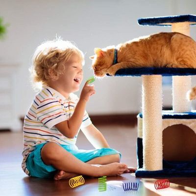 ZULBCEO - Jouet Ressort Chat - Lot 40 pièces