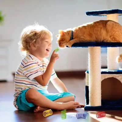 ZULBCEO - Jouet Ressort Chat - Lot 40 pièces