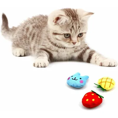 Katzenminze - Jouets interactifs - Set 5 pièces Katzenminze - Jouets interactifs - Set 5 pièces