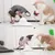 Jouet chat interactif – papillon rotatif 360°