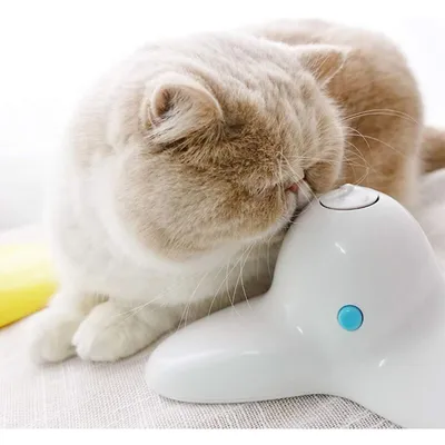 Jouet chat interactif – papillon rotatif 360°