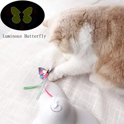 Jouet chat interactif – papillon rotatif 360°