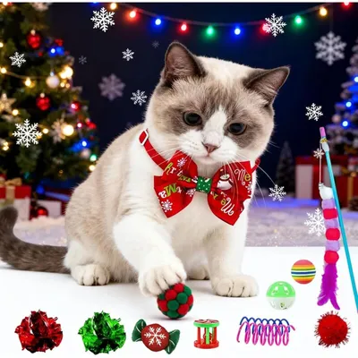 Calendrier Avent chat 24 jours – jouets Noël herbe à chat souris cadeau Calendrier Avent chat 24 jours – jouets Noël herbe à chat souris cadeau