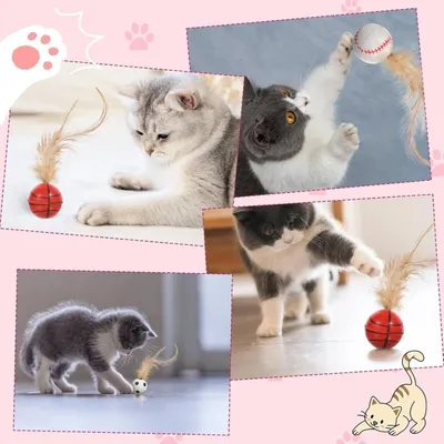 JORMFTTE - Jouets chat - Balles badminton interactives