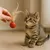 JORMFTTE - Jouets chat - Balles badminton interactives