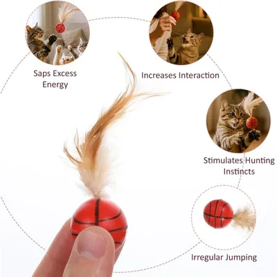 JORMFTTE - Jouets chat - Balles badminton interactives