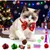 GENERIC - Calendrier de l'Avent - 24 jouets pour chat GENERIC - Calendrier de l'Avent - 24 jouets pour chat