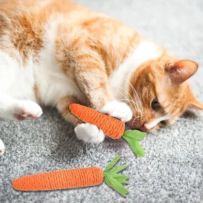 Jouets chat carotte corde – lot 2 avec son