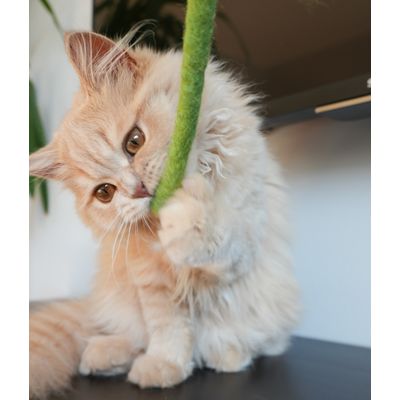Leo Löwenkatz Filzschlange