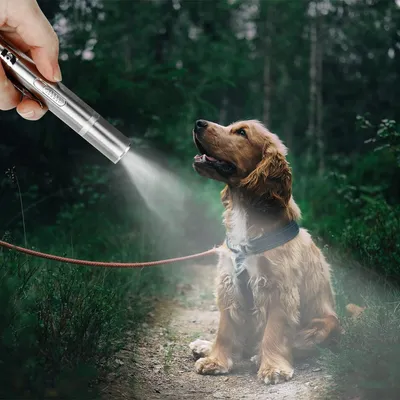 Laser-Katzenspielzeug – Lichtzeiger für aktives Spielen und Stimulation Laser-Katzenspielzeug – Lichtzeiger für aktives Spielen und Stimulation
