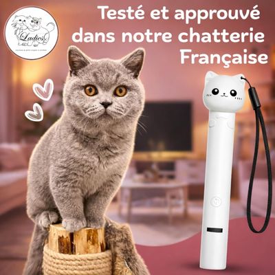 ZooVenture Juguete láser para gatos - 7 modos, USB-C, cabeza de gato