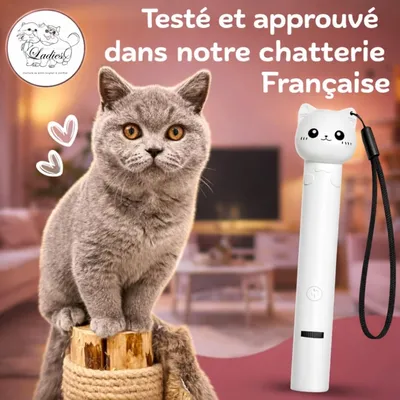 ZooVenture Katzen-Laserspielzeug – 7 Modi, USB-C, Katzenkopf ZooVenture Katzen-Laserspielzeug – 7 Modi, USB-C, Katzenkopf
