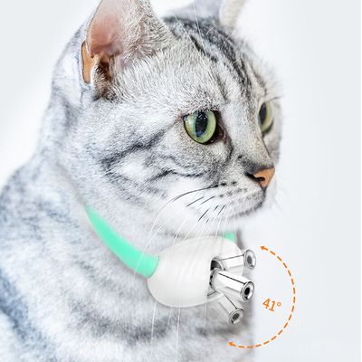 Collier laser chat interactif exercice quotidien