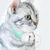 Collier laser chat interactif exercice quotidien Collier laser chat interactif exercice quotidien