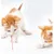 Collier laser chat interactif exercice quotidien Collier laser chat interactif exercice quotidien
