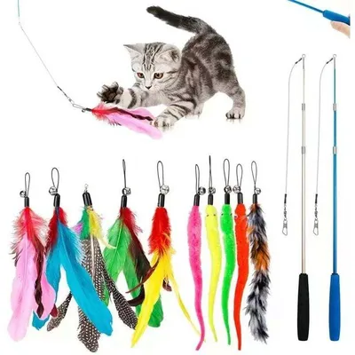 12-teiliges Feder-Katzenspielzeug-Set – 2 Teleskopstangen + 10 12-teiliges Feder-Katzenspielzeug-Set – 2 Teleskopstangen + 10