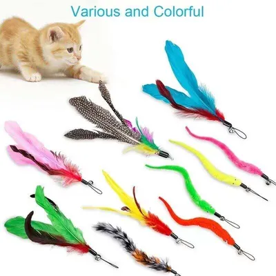 DIWUJI - Jouet Chat - Lot 12 jouets chat plumes DIWUJI - Jouet Chat - Lot 12 jouets chat plumes