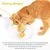 Jouet chat interactif – canne détachable plumes grelot balle cataire Jouet chat interactif – canne détachable plumes grelot balle cataire