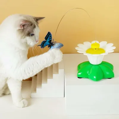 Jouet chat papillon interactif électrique rotatif automatique Jouet chat papillon interactif électrique rotatif automatique