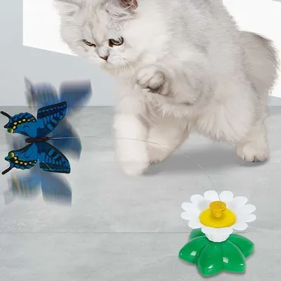 Schmetterlings-Katzenspielzeug – interaktives, elektrisch betriebenes Schmetterlings-Katzenspielzeug – interaktives, elektrisch betriebenes