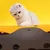 Animalia Boutique - Tunnel Chat - Pliable Animalia Boutique - Tunnel Chat - Pliable