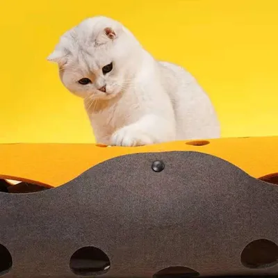 Tunnel chat pliable détachable lavable jouet intérieur Tunnel chat pliable détachable lavable jouet intérieur